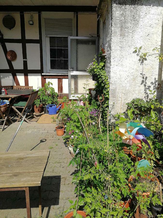 Ferienwohnung Burg Lindenfels Buitenkant foto